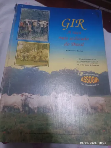 Livro raro Gir a raça mais utilizada do Brasil Rinaldo dos Santos