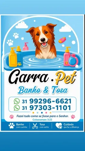Banho e tosa
