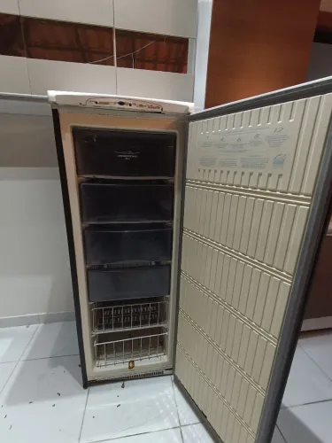 Freezer vertical