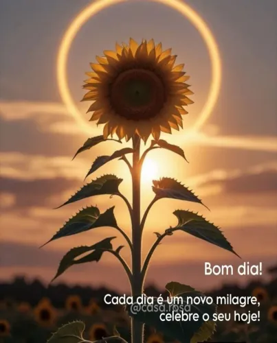 Caseiro  
