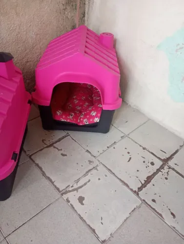 Casinha para cachorro 