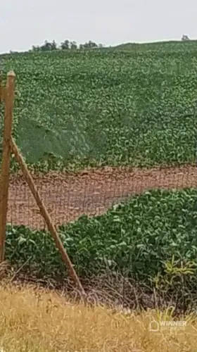 Chácara à venda, 20002 m² por R$ 3.200.000,00 - Zona Rural - Maringá/PR
