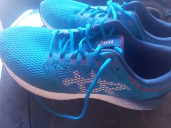 Tenis