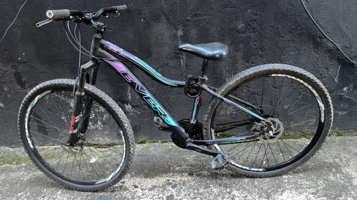 Bicicleta aro 29