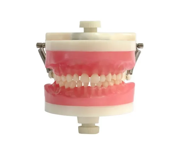 Manequim Odontopediatria - Pronew