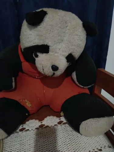Urso grande parda
