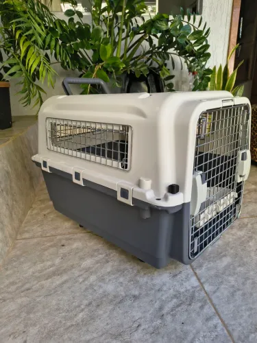 Caixa de transporte - Pet