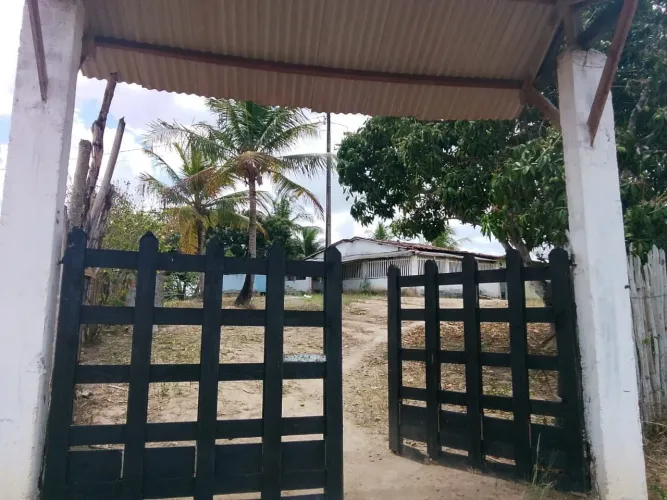 Duas casas a venda em sitio no interior de Pernambuco cidade Buenos Aires