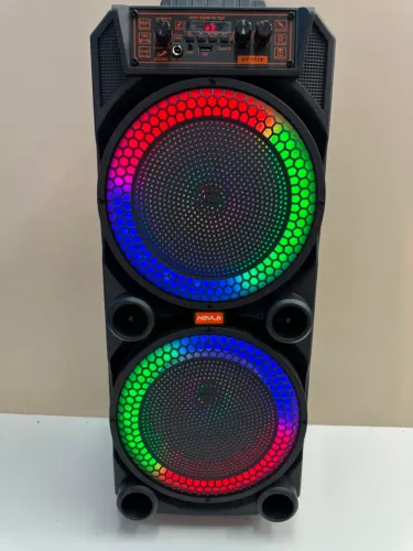 Torre de Som Portátil Amplificada Bluetooth Pen-drive Rádio FM Sd Karaokê microfone