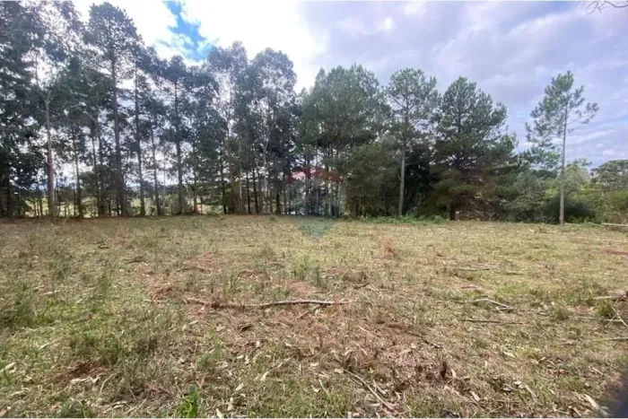 Terreno dos Sonhos em Lages: Invista Já!