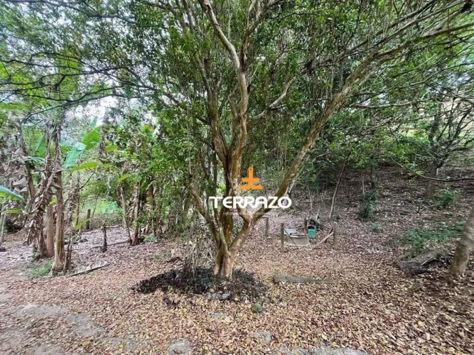 Chácara com 1 dormitório à venda, 3600 m² por R$ 200.000,00 - California - Barra do Piraí/