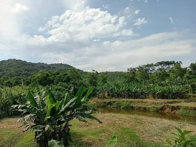 Área Rural à Venda 86 Alqueires | Itaqui Guaraqueçaba/PR