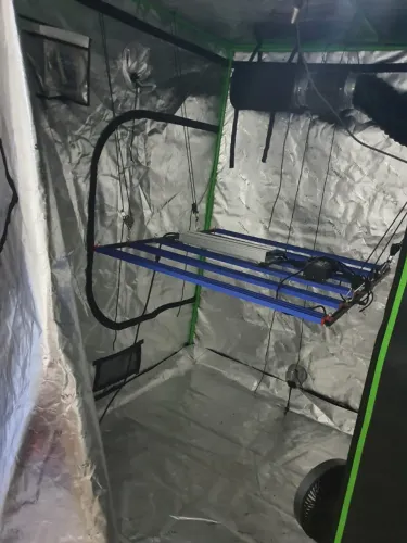 Estufa Indoor