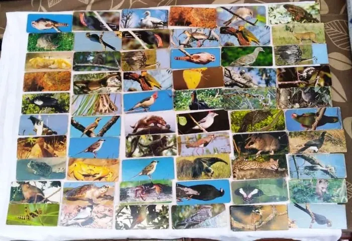Lote de Cartas Raras Chocolate Surpresa Nestlé Anos 80/90