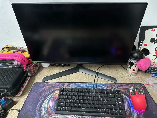Monitor gamer
