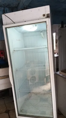 Freezer espositor vertical