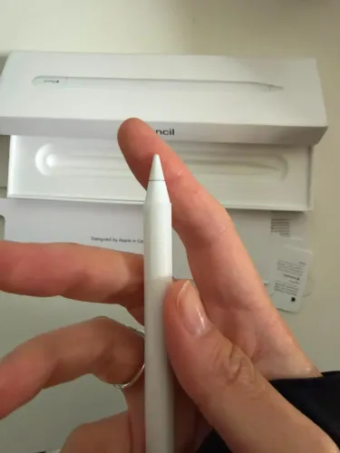 Apple Pencil (2ª geração) original