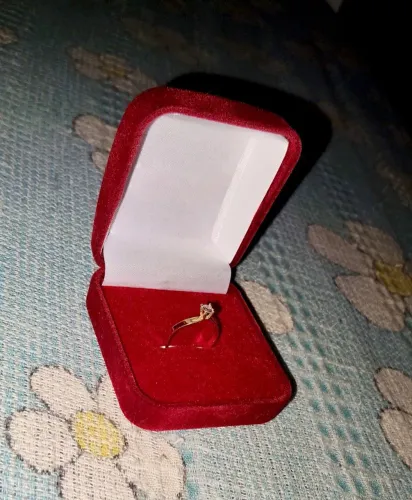 Anel Solitário em Ouro 18K - Aro 17