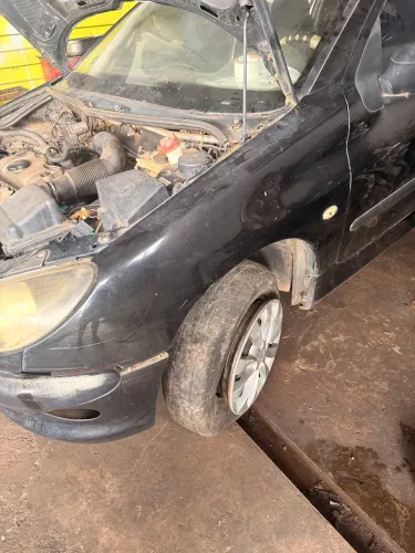 Pára-lama esquerdo peugeot 206 207