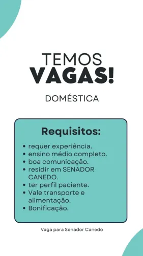 Doméstica 