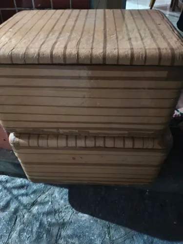 Caixa de isopor 50L