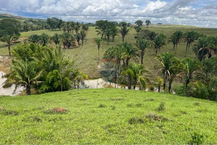 Fazenda na Planta em Cocalzinho: Invista no Futuro!