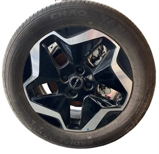 Roda do Byd Dolphi Gs 195/60 Aro 16 
