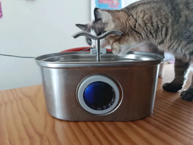 Bebedouro inox para gatos