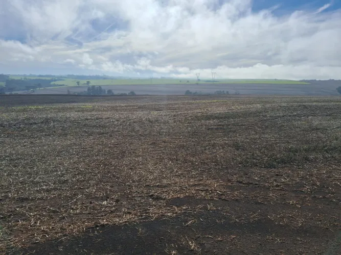 Fazenda  região cruz maltina 