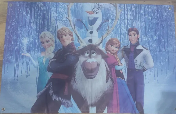 Vendo Kit decoração de festa Frozen.
