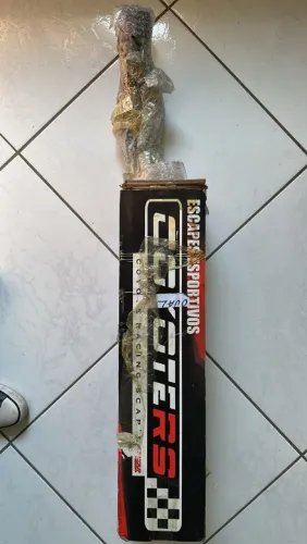 Escape coyote Falcon