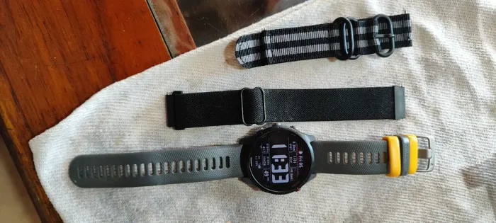 Garmin forerunner 255 