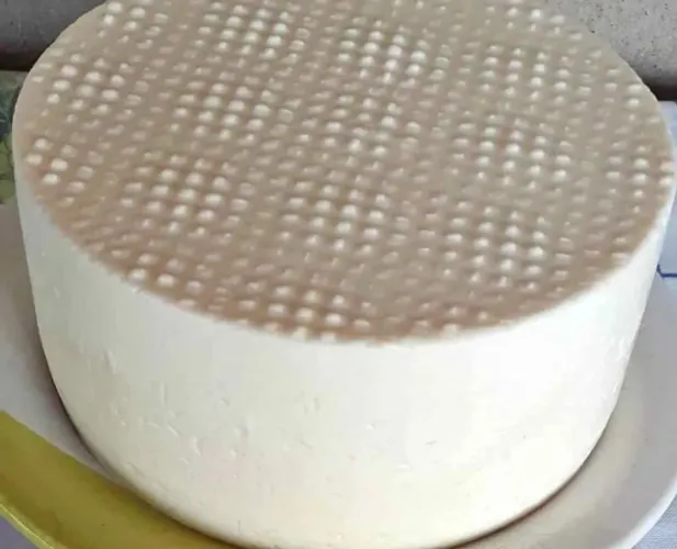 Queijo fresco da fazenda da roça e Leite Puro Integral