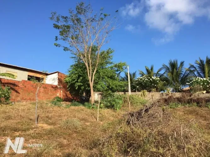 Chácara com 1 dormitório à venda, 46100 m² por R$ 530.000,00 - Pirangi do Norte