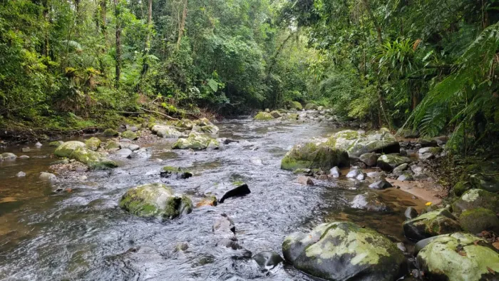 Chácara para venda tem 24200 m² em Morretes - PR