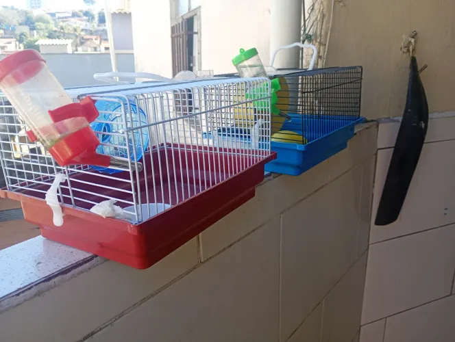 Duas gaiolas para hamster completas 