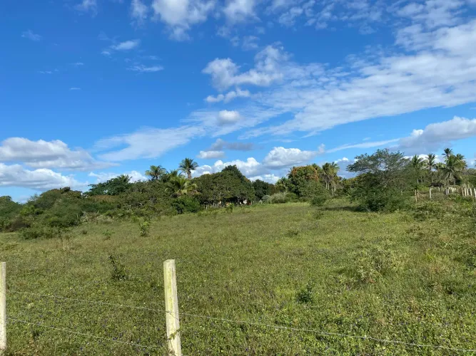 OPORTUNIDADE IMPERDÍVEL - VENDA URGENTE!