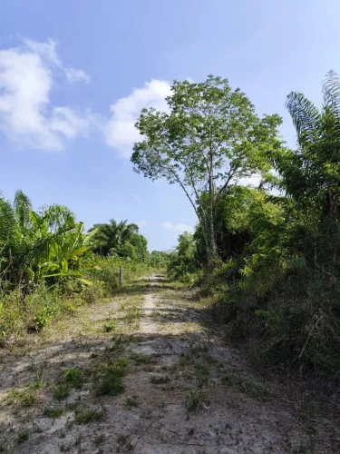 Terreno documentado em Abaetetuba 
