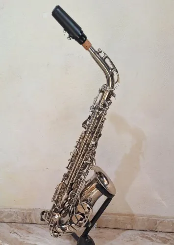 Saxofone Alto Galasso Gope Brasil