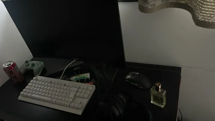 Pc gamer (roda todos os jogos )
