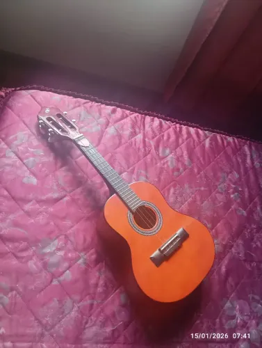 Cavaquinho Gianini