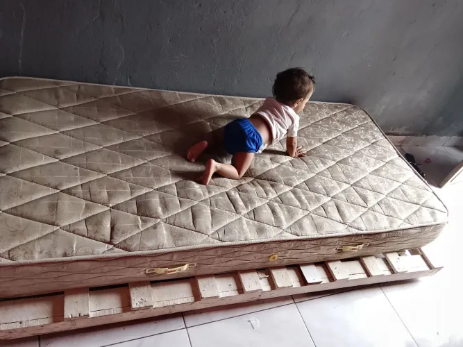 Cama de paletes