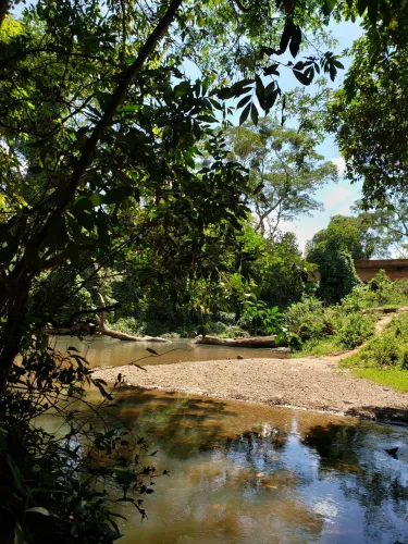 Vendo ou troco lote 400 metros com rio nos fundos fazenda velha