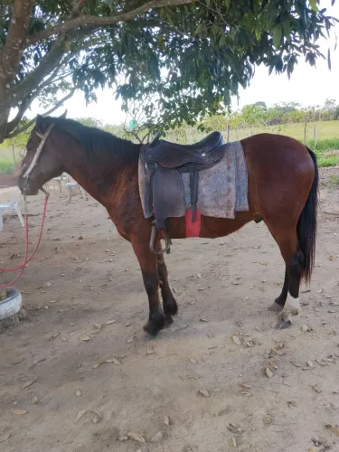 Vendo o troco