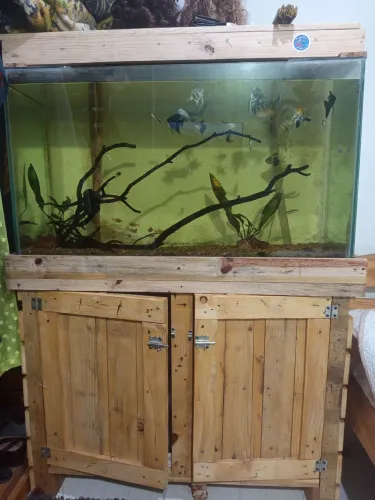 Aquário 200 litros completo