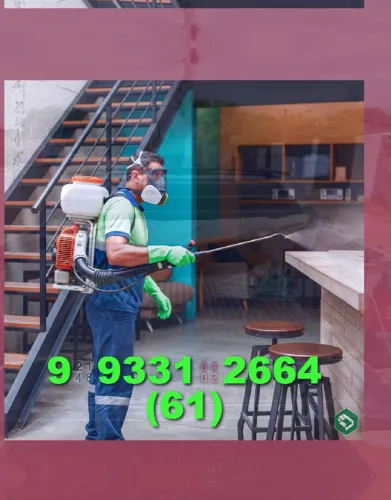 Dedetização é a solução! Livre-se de pragas de forma rápida e eficaz?