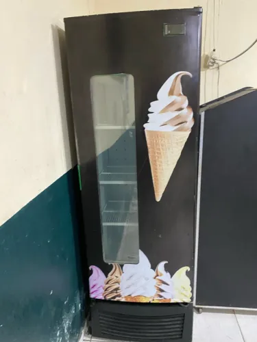 Freezer vertical