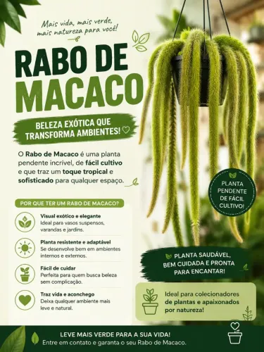 Rabo de macaco