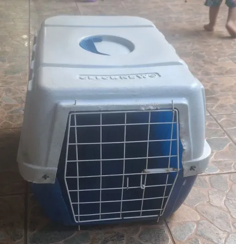 Caixa de transporte clicknew 2
