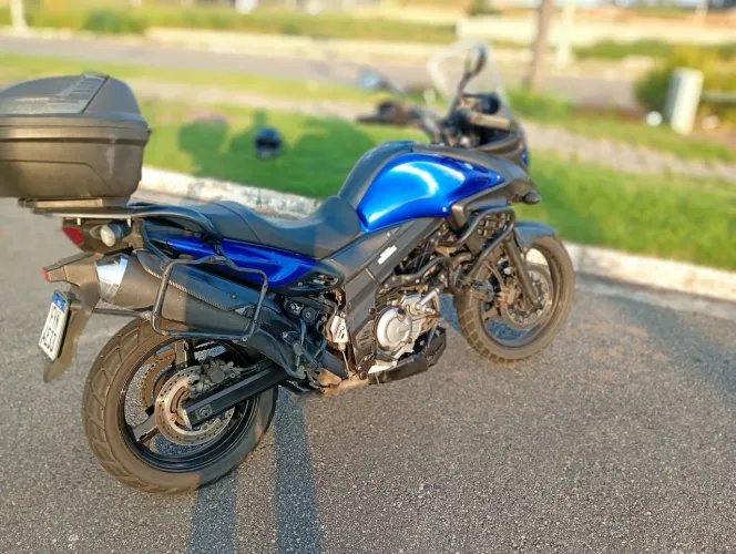 Dl v strom 650